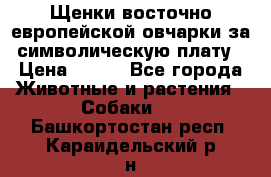 Щенки восточно европейской овчарки за символическую плату › Цена ­ 250 - Все города Животные и растения » Собаки   . Башкортостан респ.,Караидельский р-н